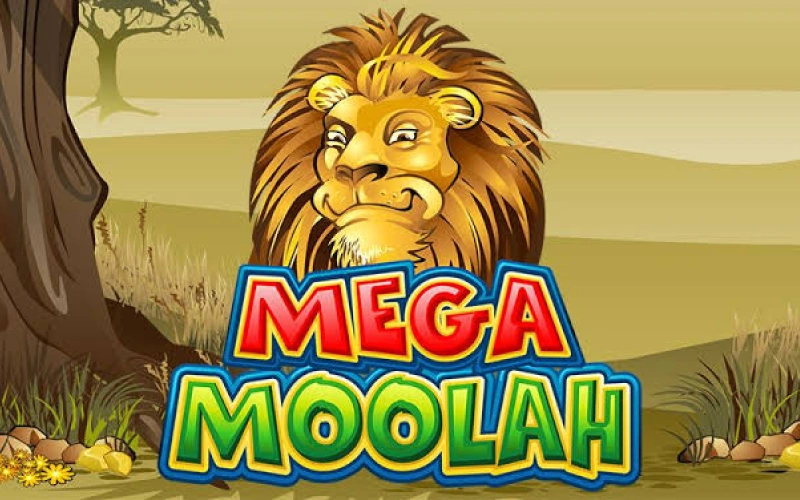 1xBet에서 메가 물라Mega Moolah를 플레이하며 거액의 프로그레시브 잭팟 당첨의 기회를 노려보세요.